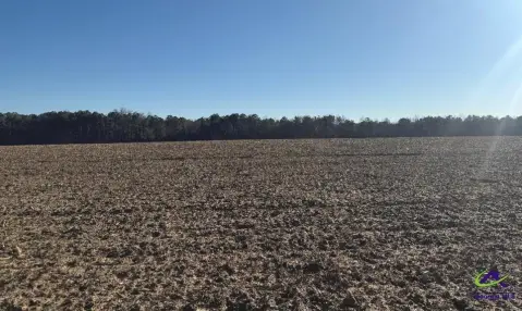 97 Acres of Prime Land