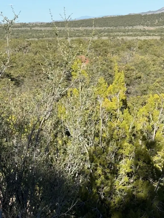 Picture 19