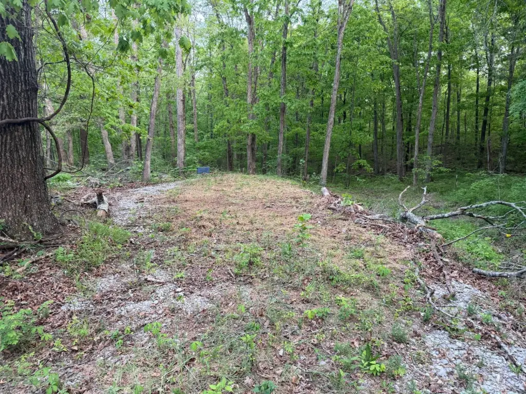 Picture 19