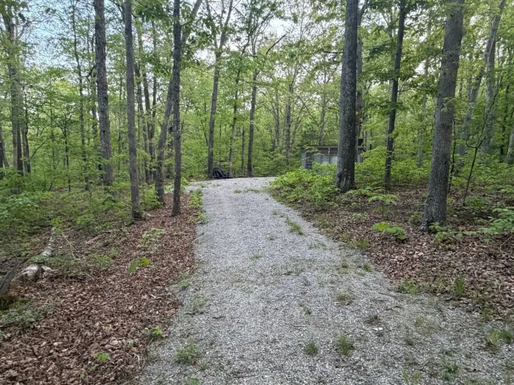 Picture 27