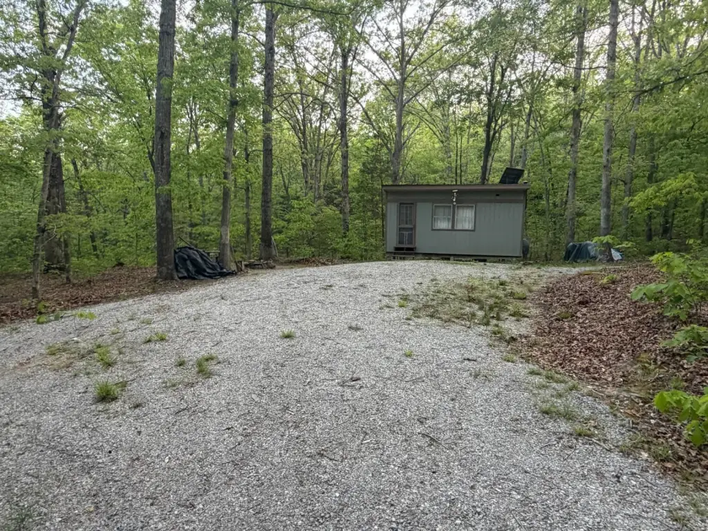 Picture 16