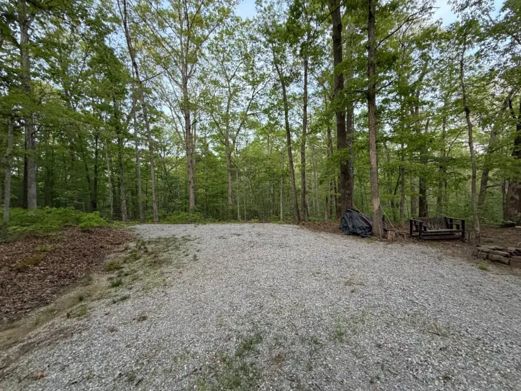 Picture 38