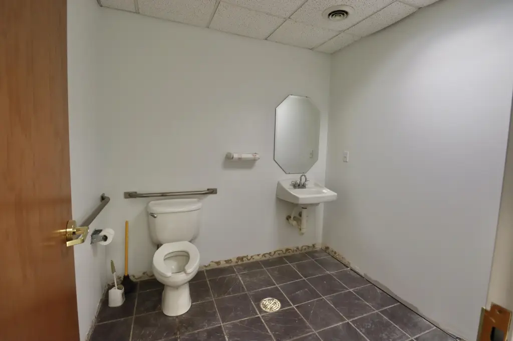Picture 8