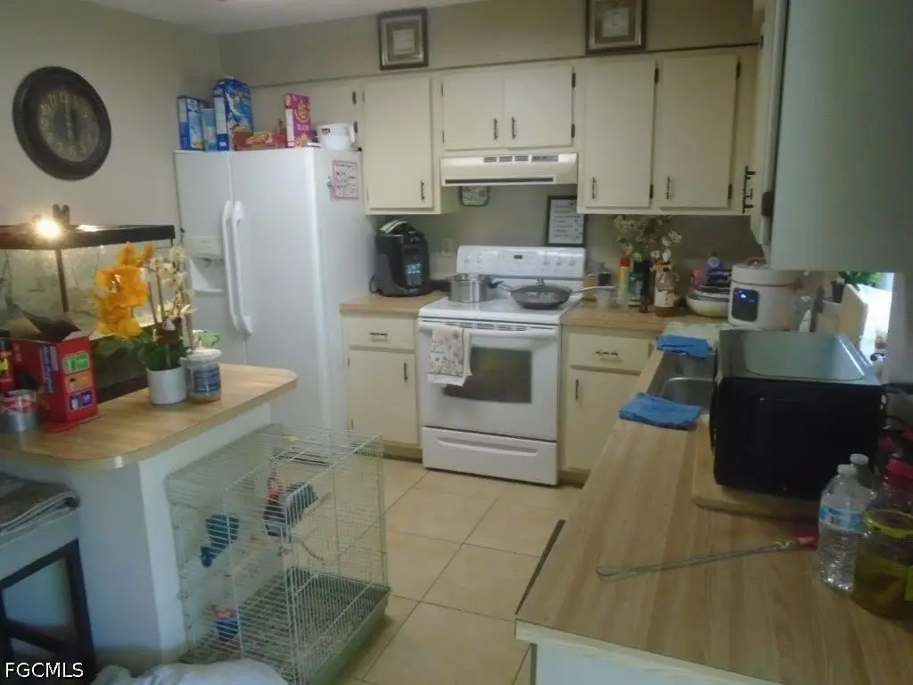 Picture 14