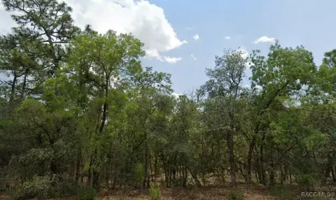 Beverly Hills Land Opportunity