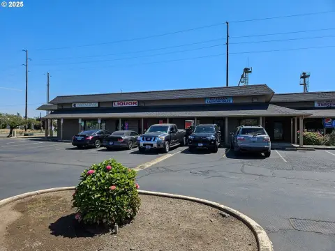 Multi-Tenant Shopping Center