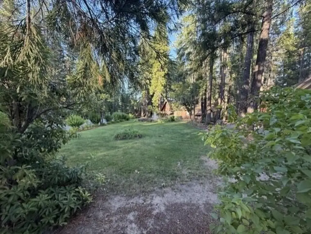 Picture 45