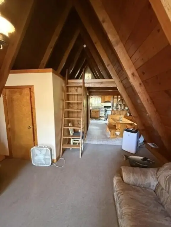 Picture 47