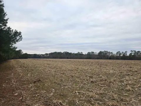 38 Acre Cropland and Woods