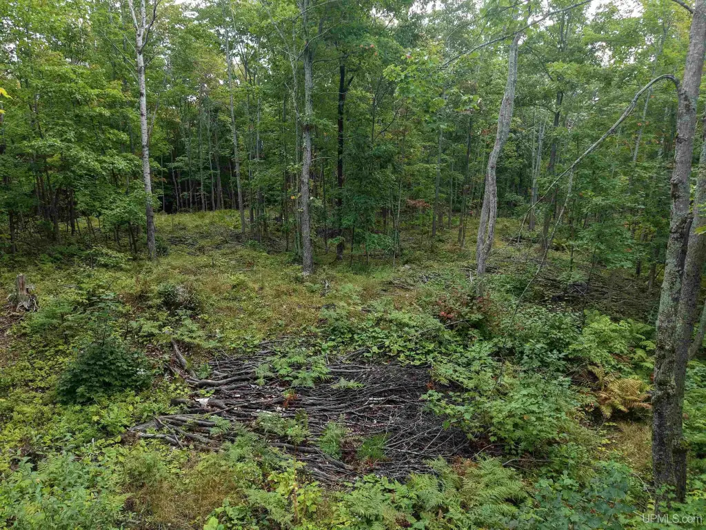 Picture 21