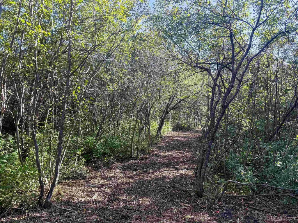 Picture 8
