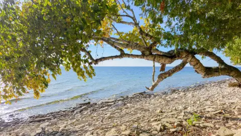 Limestone Bluff Waterfront Land