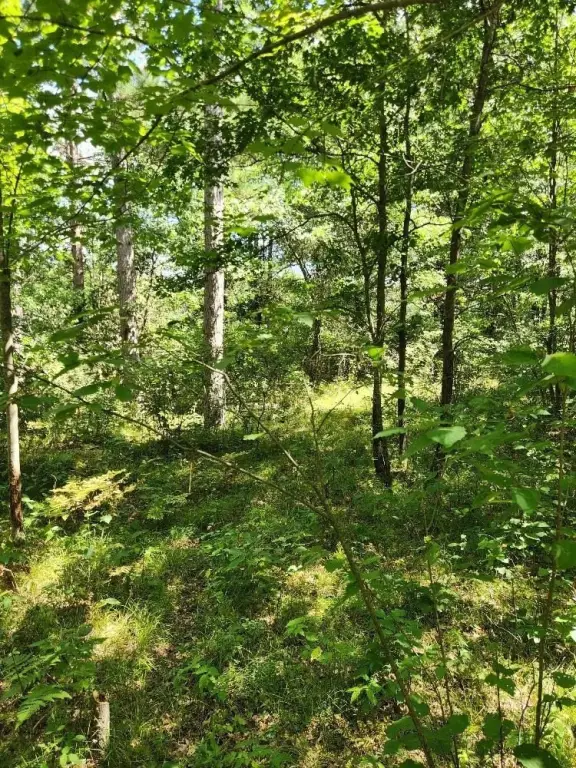 Picture 29