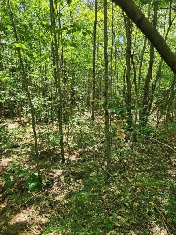 Picture 18