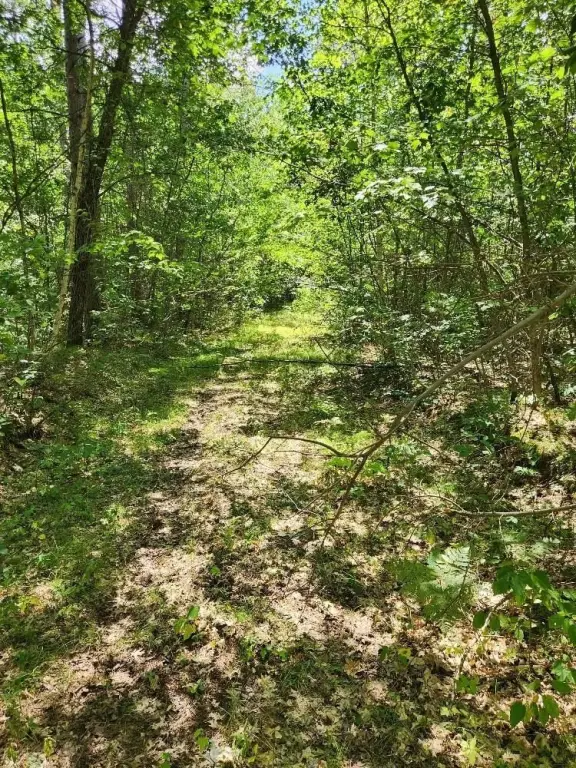 Picture 21