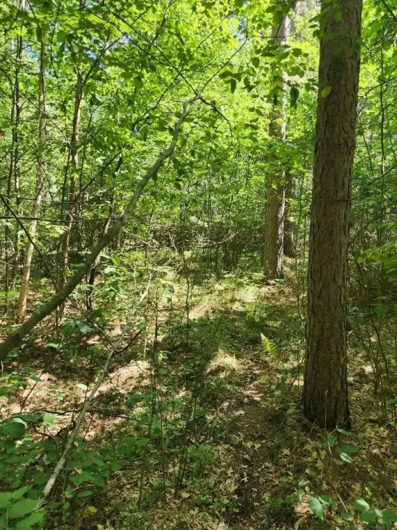 Picture 14