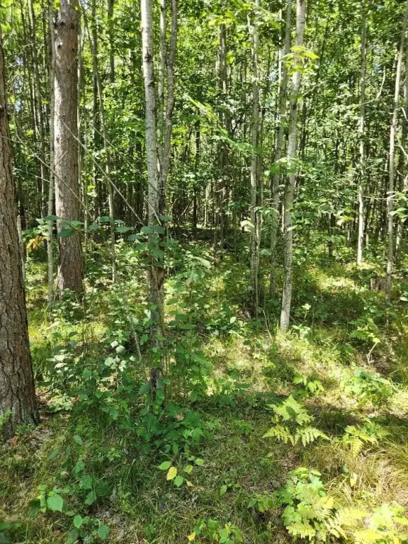 Picture 30