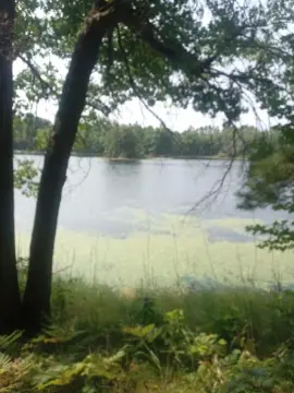 Waterfront Land with Lake Frontage
