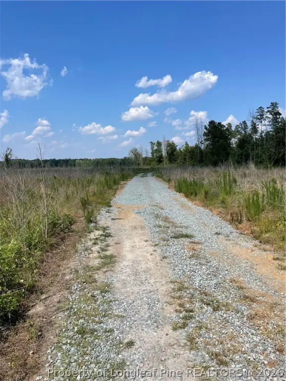 Picture 26