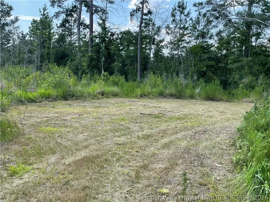 Picture 21