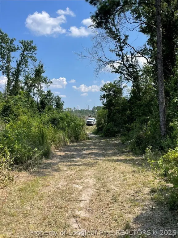 Picture 19