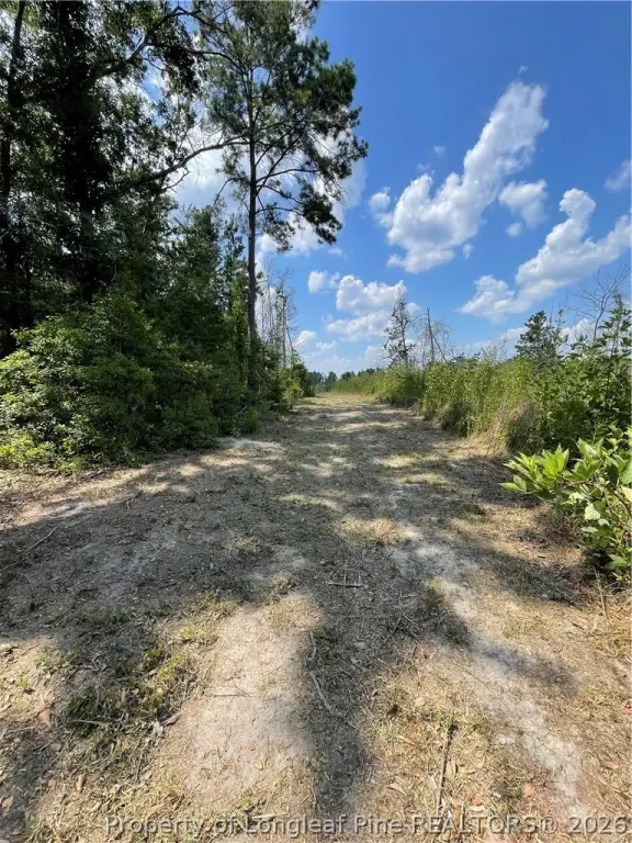 Picture 20