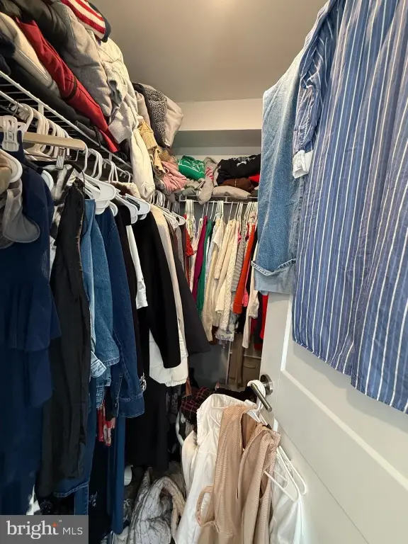 Picture 47