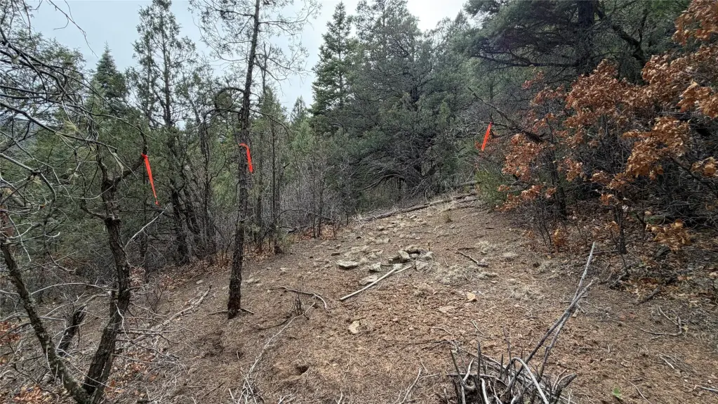 Picture 17