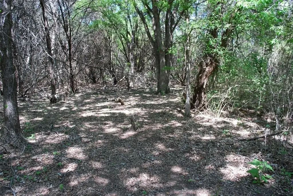 Picture 7