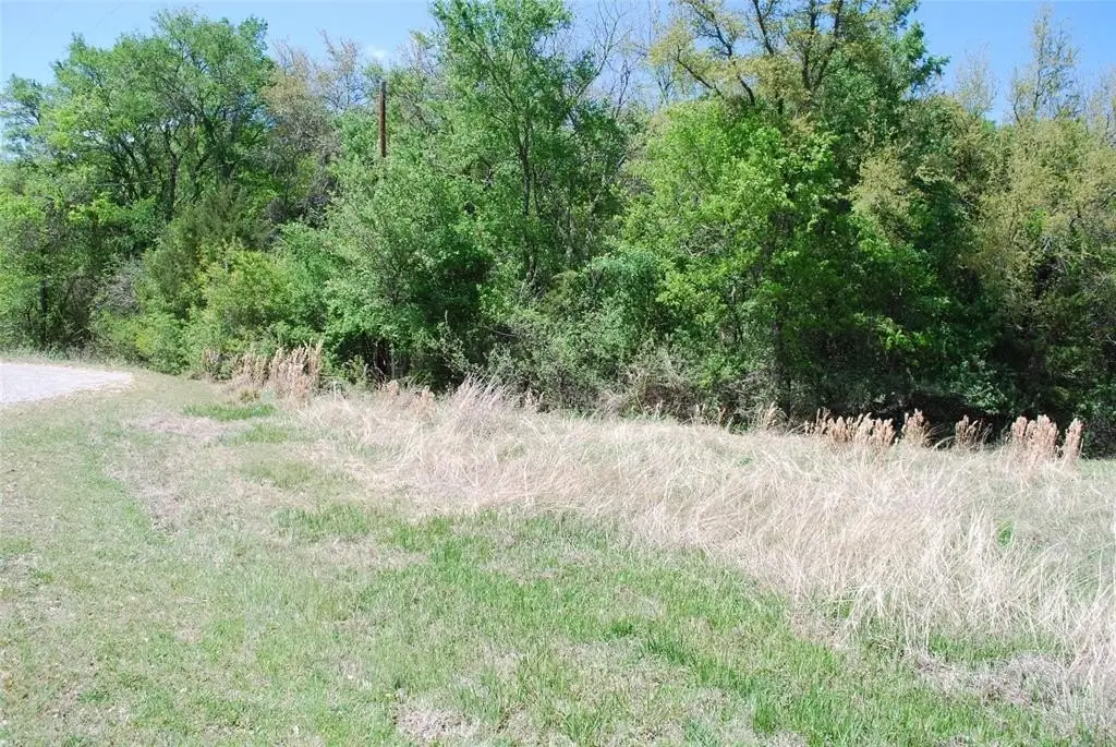 Picture 14