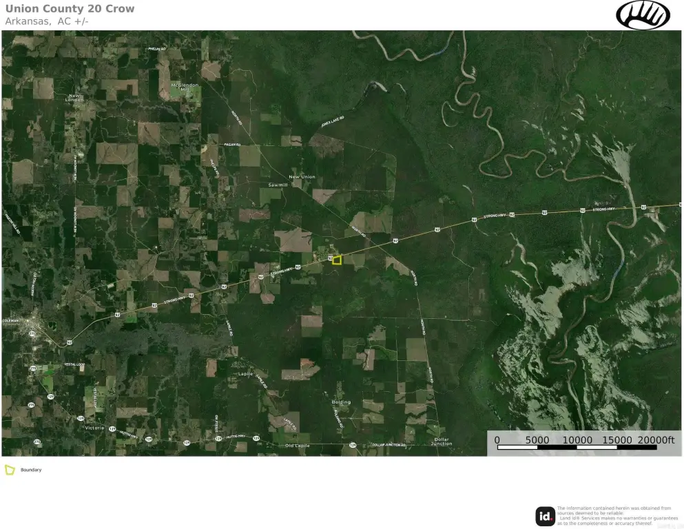 Picture 31