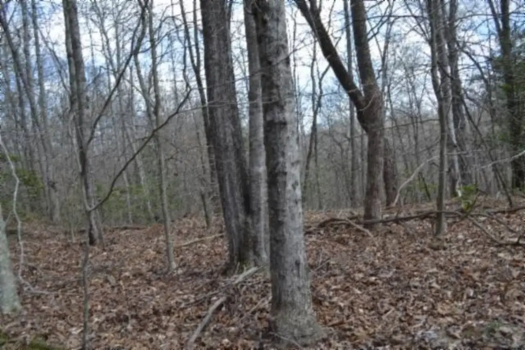 Picture 25