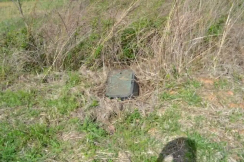 Picture 6