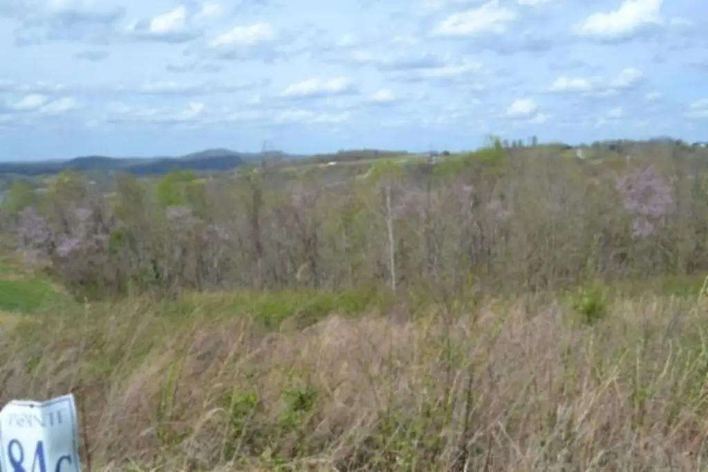 Picture 3