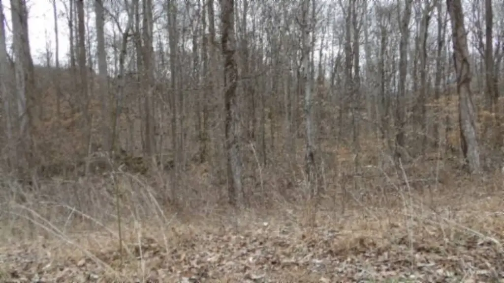 Picture 43