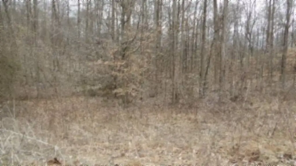 Picture 23