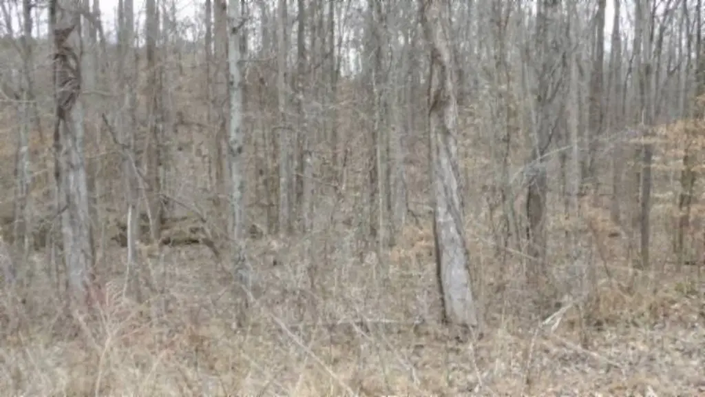 Picture 38