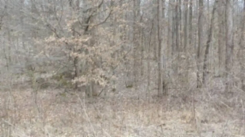 Picture 24