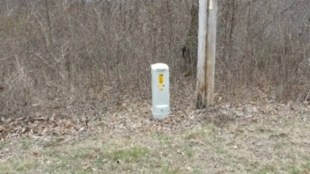 Picture 31
