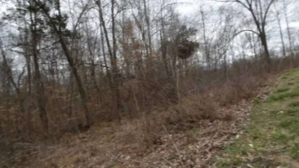 Picture 39
