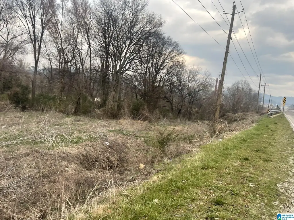 Picture 4