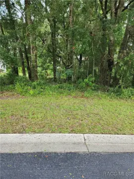 Residential Land in 55+ Community