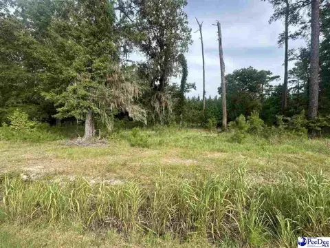 Partially Cleared Farm Land Tract