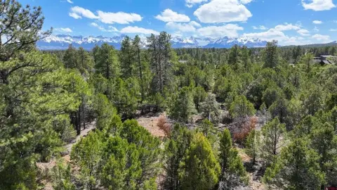 Serviced Lot in Divide Ranch