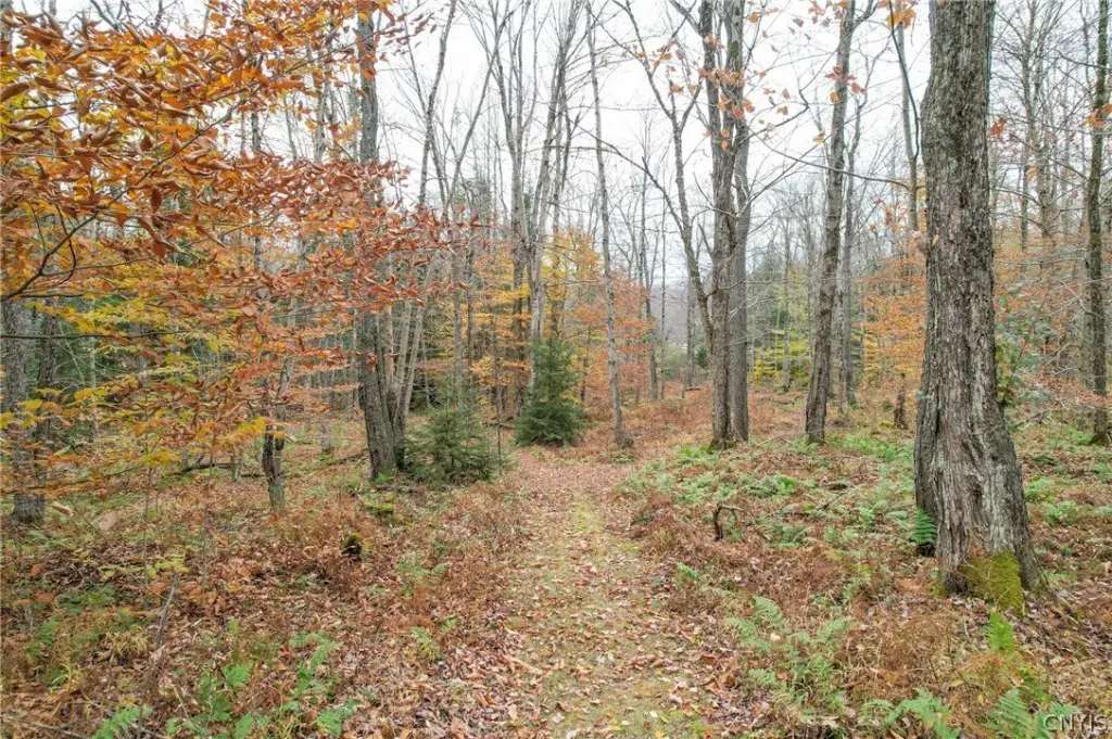Picture 35