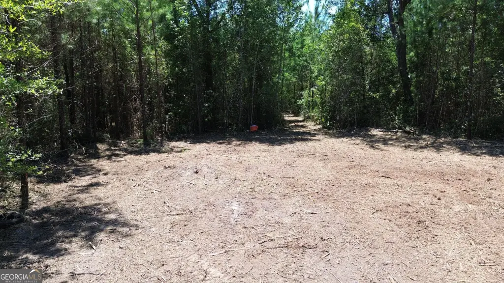 Picture 25