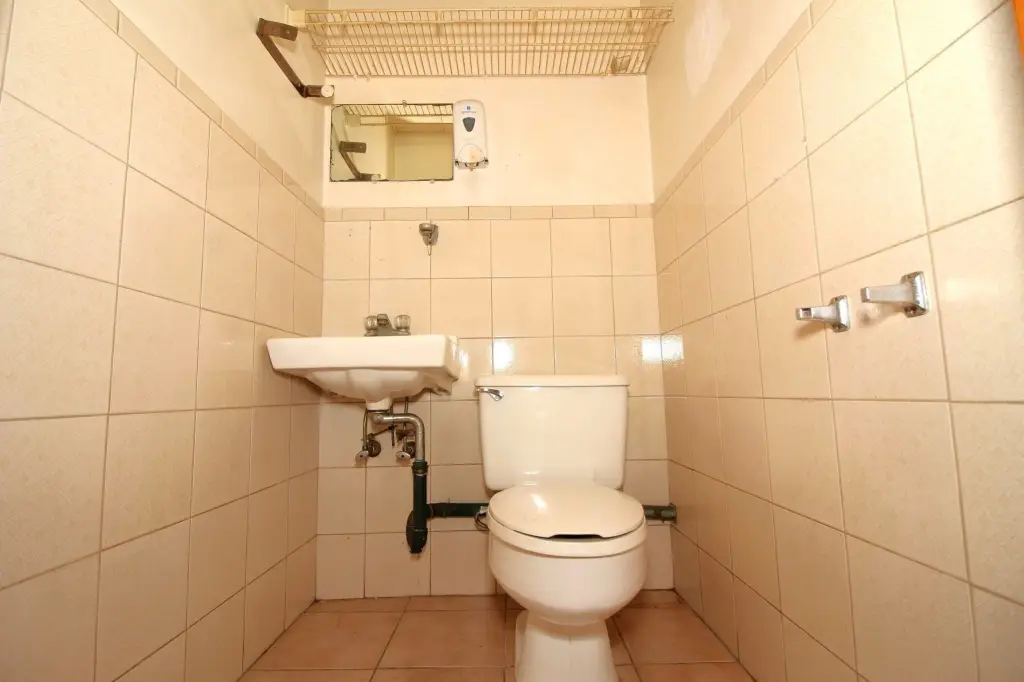 Picture 12