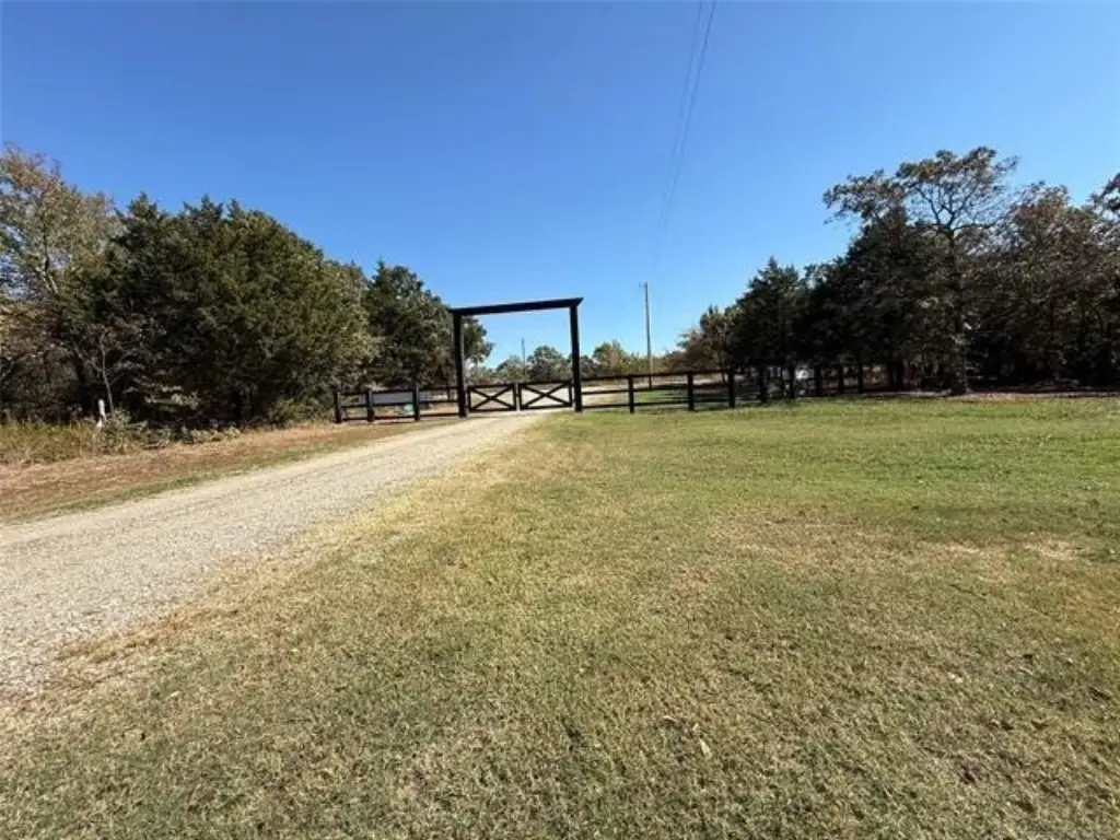 Picture 5