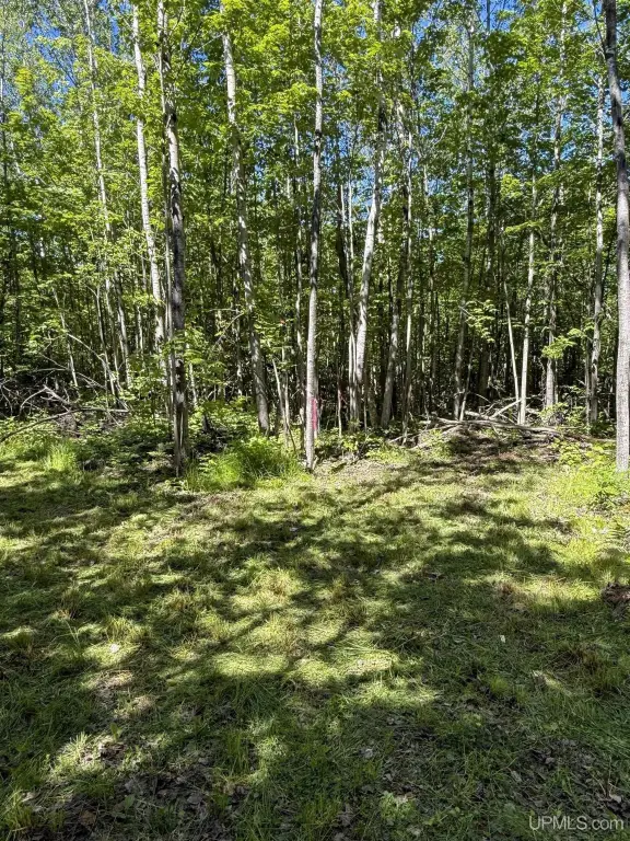 Picture 6