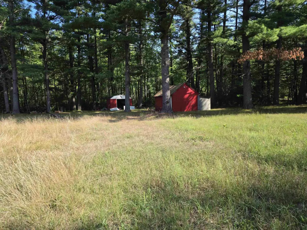 Picture 6